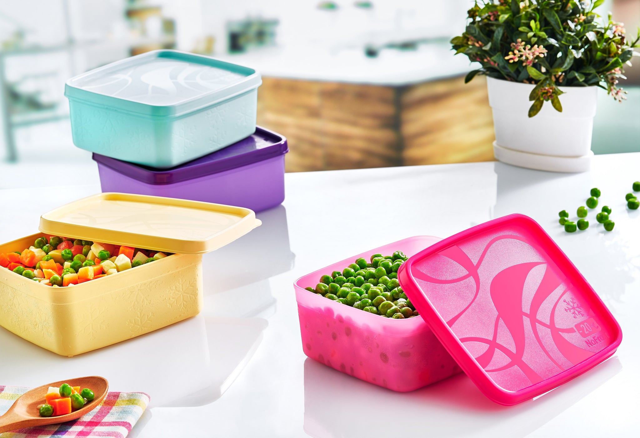 Tupperware Alaska Series Freezer Storage Container Set of 5 – ezmarketim